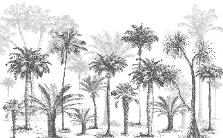 Papier peint Jungle Black & White, XXL, tendance