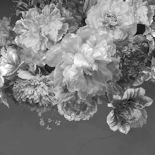 Papier peint fleur pivoine noir et blanc