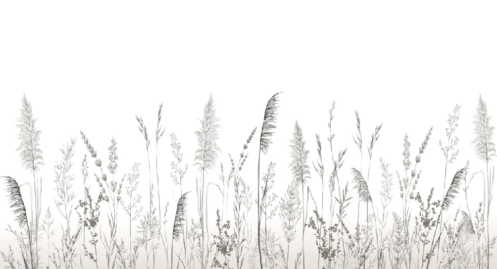 Papier peint poétique pampa - Muralconcept