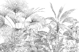 Papier peint tropical gravure monochrome - Muralconcept