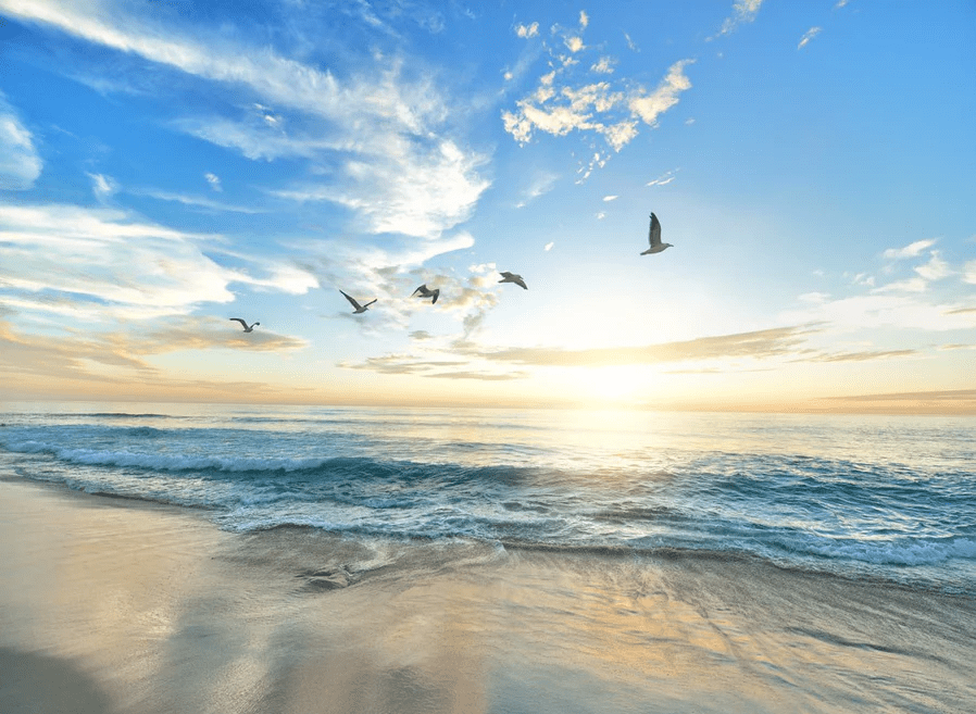 Papier peint Plage Paradisiaque, XXL, tendance