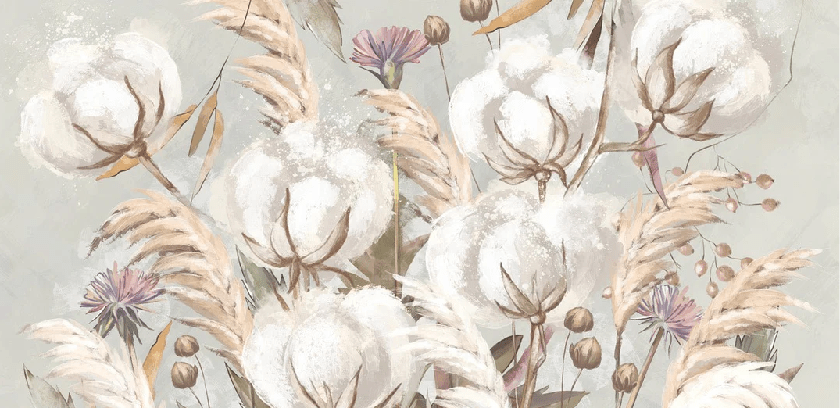 Papier peint panoramique fleur coton - Muralconcept