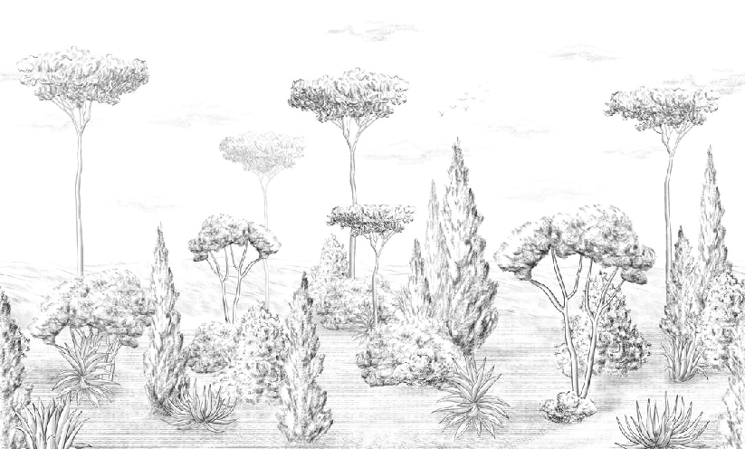 Papier peint panoramique forêt antique - Muralconcept