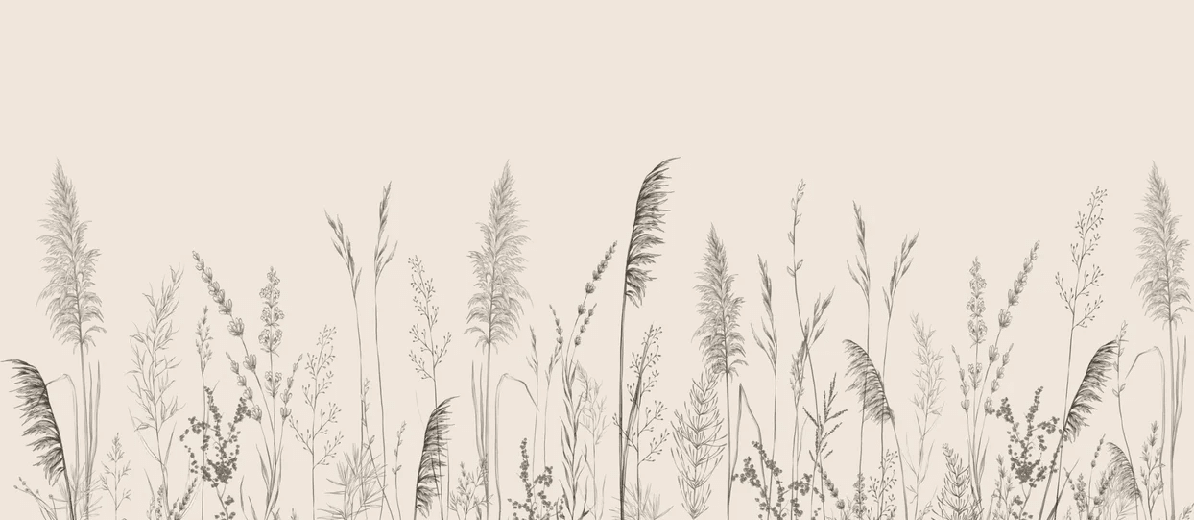 Papier peint panoramique prairie sauvage - Muralconcept