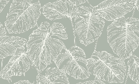 Papier peint feuille monstera sauge - Muralconcept