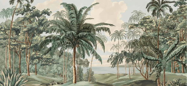 Papier peint paysage Célèbes