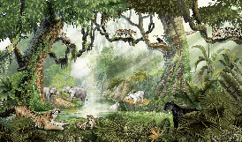 Papier peint enfant jungle secrète