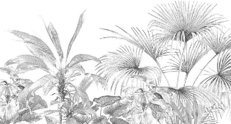 Papier peint tropical gravure monochrome, XXL, tendance