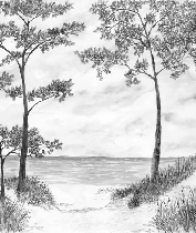 Papier peint Pins maritimes et dunes - Noir et blanc - Muralconcept