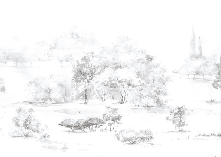 Papier peint forêt de pin aquarelle - Muralconcept