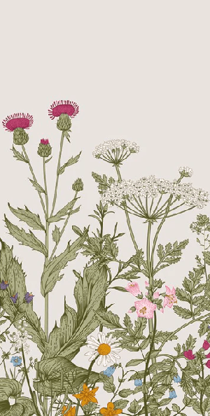 Papier peint fleur botanique folk romantique