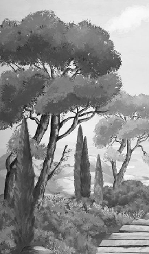 Papier peint balade dans les calanques noir et blanc, XXL, tendance