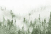 Papier peint bistrot sapin brume verte aquarelle - Muralconcept