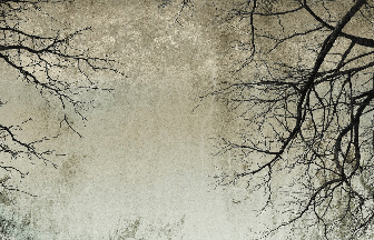 Papier peint Forêt Enchantée, XXL, tendance