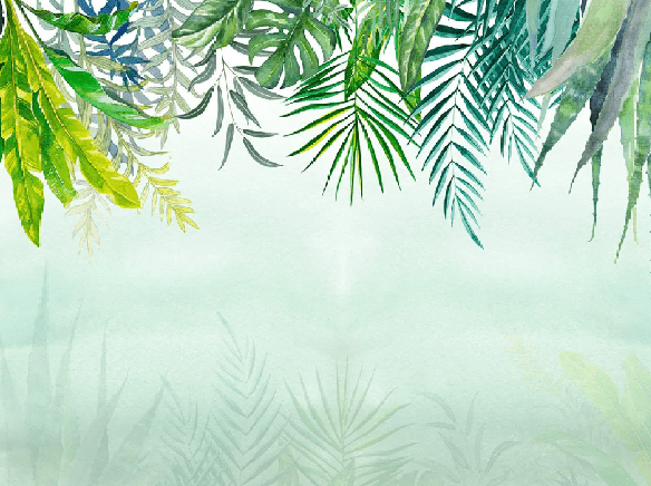 Papier peint Jungle