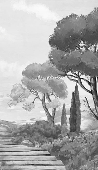 Black and white wallpaper featuring a stroll through the calanques