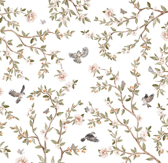 Papier peint oiseau chambre enfant
