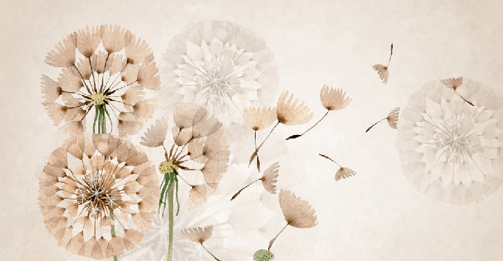 Papier peint fleur pissenlit - Muralconcept