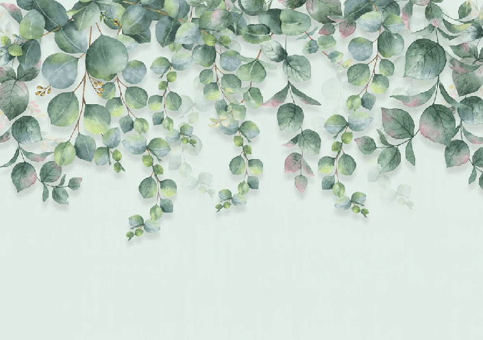 Papier peint nature plante Eucalyptus
