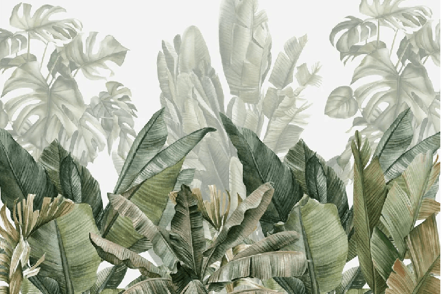 Papier peint panoramique bananier vert - Muralconcept