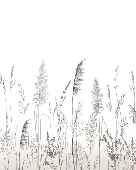 Papier peint poétique pampa - Muralconcept