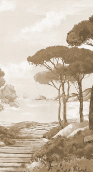 Monochrome wallpaper featuring a stroll through the calanques