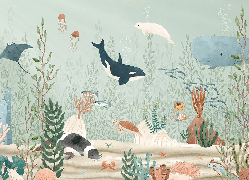 Baby marine world wallpaper