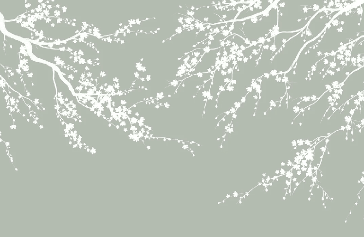 Papier peint panoramique Sakura vert sauge - Muralconcept