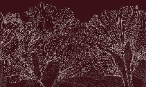 Papier peint panoramique valse des fleurs bordeaux - Muralconcept