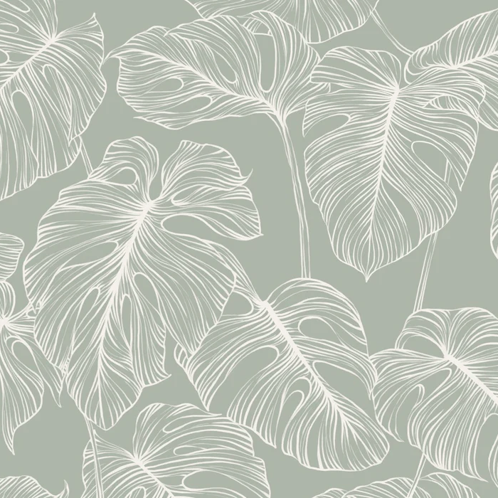 Papier peint feuille monstera sauge