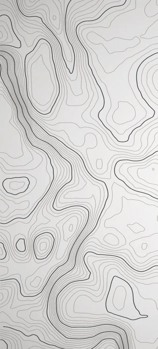 Papier peint ligne topographique - Noir et blanc - Muralconcept
