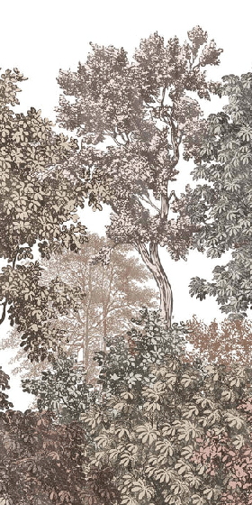 Papier peint paysage forêt gravure rosé, XXL, tendance