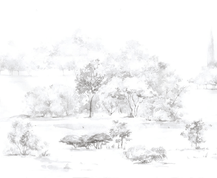 Papier peint forêt de pin aquarelle - Muralconcept