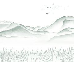 Papier peint salle de bain artistique Annecy entre lac montagne vert - Muralconcept