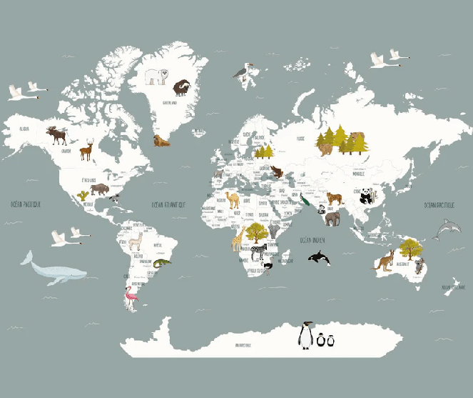 Papier peint Carte du monde en Francais enfant gris, XXL, tendance