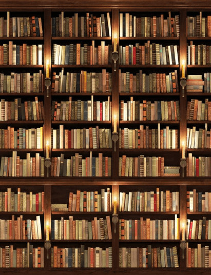 Papier peint trompe l'oeil Authentique Bibliothèque, XXL, tendance