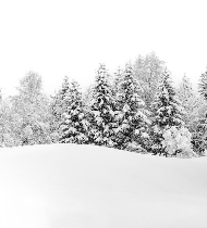 Papier peint panoramique évasion hivernale - Muralconcept