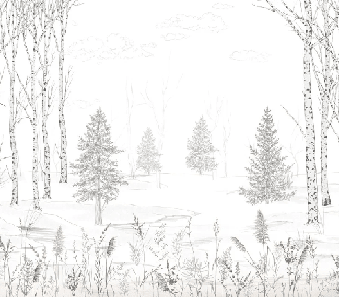 Papier peint forêt noir et blanc – Douceur des Bois - Muralconcept