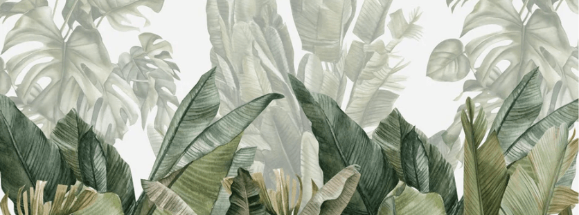 Papier peint panoramique bananier vert, XXL, tendance