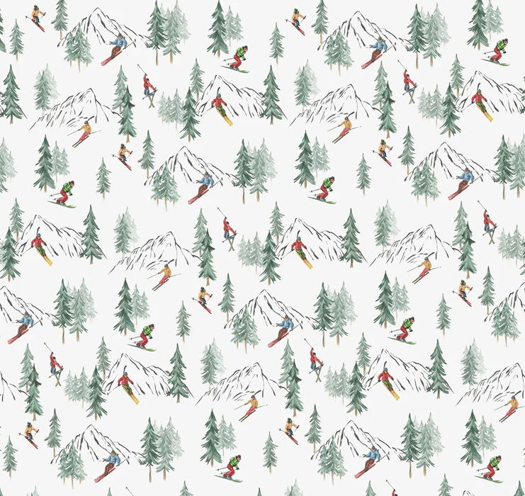 Papier peint Alpine glisse - Muralconcept