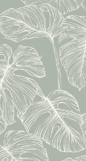 Papier peint feuille monstera sauge - Muralconcept