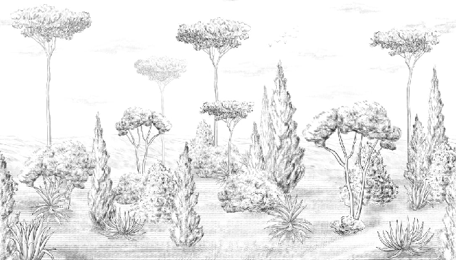 Papier peint panoramique forêt antique - Muralconcept