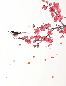 Papier peint harmonie zen sakura
