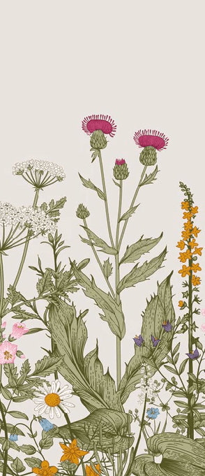 Papier peint fleur botanique folk romantique