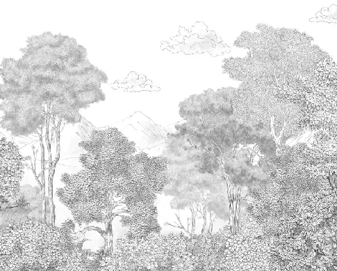 Papier peint panoramique Forêts et Monts Crayonnés, XXL, tendance