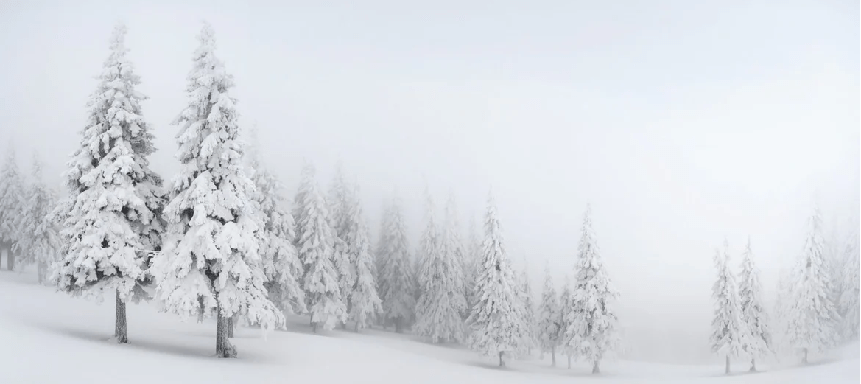 Papier peint panoramique forêt enneigée - Muralconcept