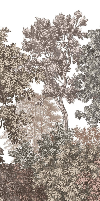 Papier peint paysage forêt gravure rosé, XXL, tendance