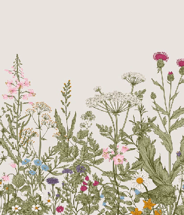 Papier peint fleur botanique folk romantique