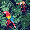 Papier peint Exotique Perroquet - Muralconcept