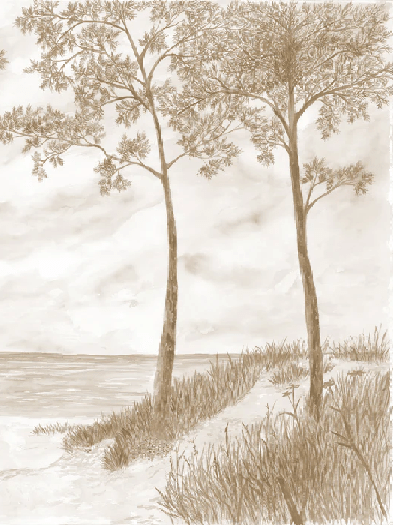 Papier peint Pins maritimes et dunes - Sépia - Muralconcept